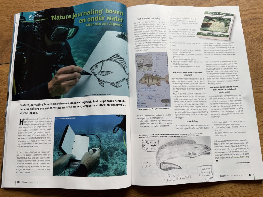 Artikel over Nature Journaling uit duikblad Hippo